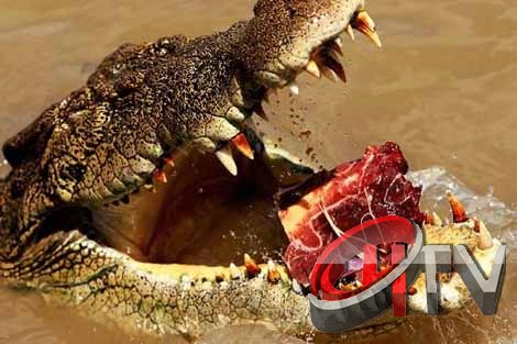 Çok Zamansız çekilen resimlerden ortaya çıkan kareler