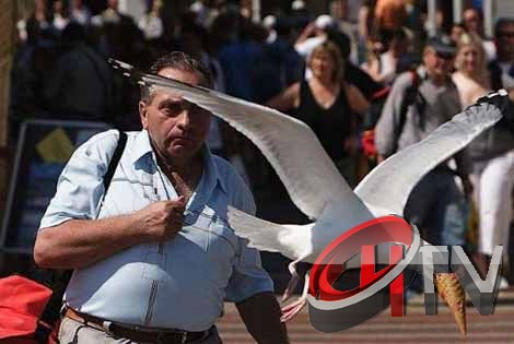 Çok Zamansız çekilen resimlerden ortaya çıkan kareler