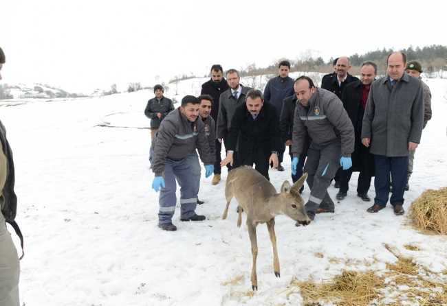 Çorum Belediyesi Türkiye'ye örnek olmaya devam ediyor
