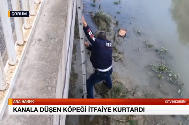 Kanala Düşen Köpek Yavrusunun imdadına İtfaiye yetişti