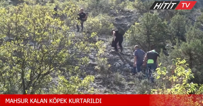 Kayalıkta Mahsur Kalan Köpeği İtfaiye Ekibi Kurtardı