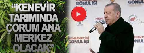 "Çorum’u Kenevir'de ana merkezlerden biri yapacağız"