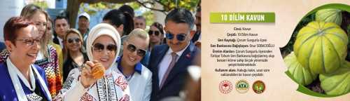 10 Dilim kavun Ata Tohumu Projesinde
