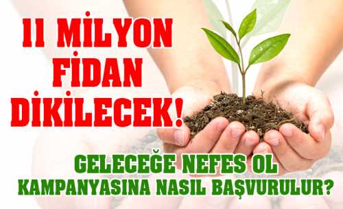11 Kasım'da  11 milyon fidan dikilecek! 
