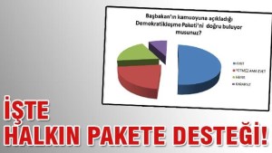 DEMOKRATİKLEŞME SONUCU İLK ANKET DURUMU