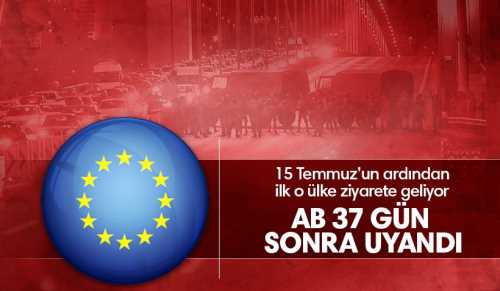 15 Temmuz'dan sonra AB'den ilk ziyaret
