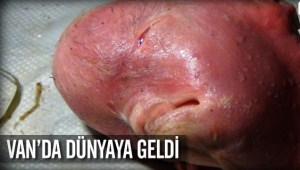 Gördüğünüz bir insan değil !