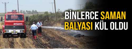 2700 Saman Balyası KÜL Oldu