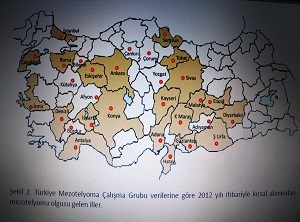 Sağlık Bakanlığı Çorum’da asbest çalışması