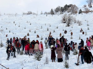 Öğrenciler Kuşları Unutmadı 