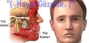 Bir Kan Pıhtısı,Felç/İnme nasıl anlaşılır