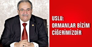 SALİM USLU: ORMANLAR BİZİM CİĞERİMİZDİR