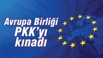 AB PKK'YI KINADI