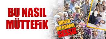 ABD ve Nato  nasıl müttefik?