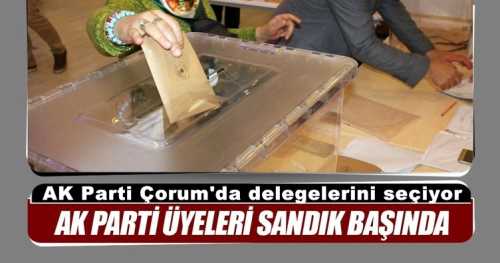 AK Parti Çorum'da delegelerini seçiyor 
