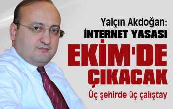 Akdoğan: İnternet yasası Ekim'de çıkacak