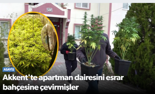 AKKENT'deki Dairesini Esrar Bahçesine Dönüştürmüş