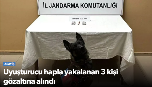 Alaca’da Jandarmadan Uyuşturucu Operasyonu: 3 Gözaltı