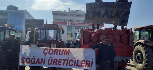 Alacalı Soğan Üreticileri isyan etti 