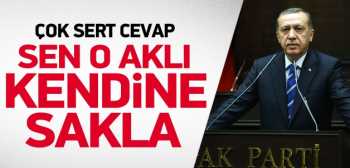 Alman Cumhurbaşkanı'na sert cevap