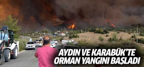 Aydın ve Karabük'te orman yangını çıktı