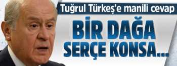 Bahçeli'den  Tuğrul Türkeş'e cevap