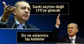 Bahçeli'den Formül Eleştirilerine cevap: Taş Kafalılar