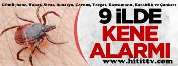 BAKANLIK ÇORUM'DA KENE ALARMI VERDİ