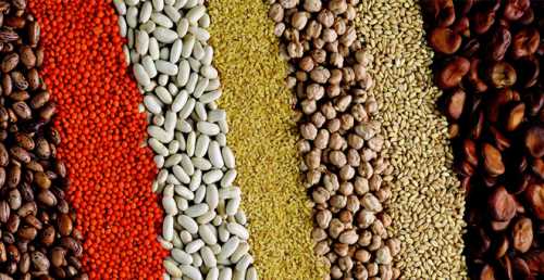 Bakliyatta fiyat sürekli neden artıyor?