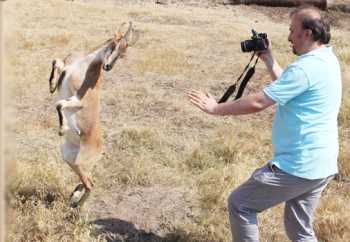 BANA KEÇİ ÇARLİ DERLER