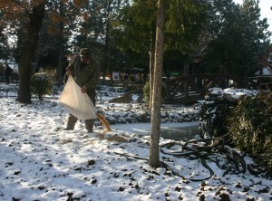 Kuşlar İçin Yem Bırakıldı