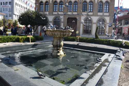 Belediye Kuş uyarısında bulundu