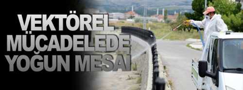 Belediye vektörel mücadeleyi sürdürüyor