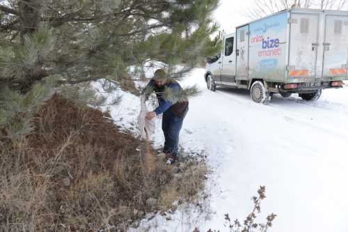 Belediye yabani hayvanları da ihmal etmiyor
