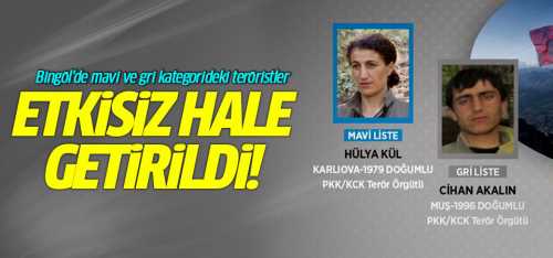 Bingöl'de PKK'lı teröristler etkisiz hale getirildi