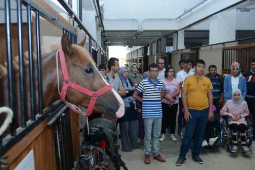 Binicilik tesisi Öğrencilere kapısını açtı 