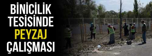 Binicilik Tesisinde Peyzaj Çalışması