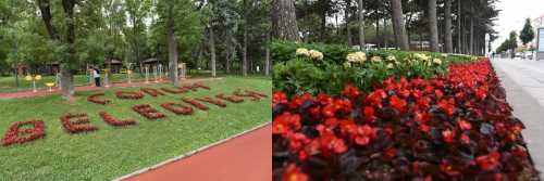 Bu Yaz 600 bin çiçek toprakla buluşacak