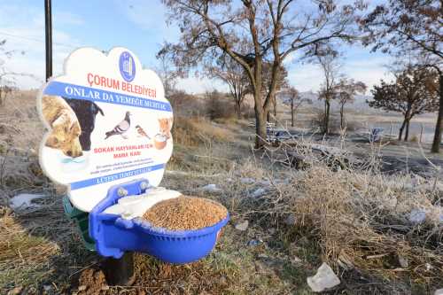 CANDAN "O CANLAR BELEDİYEYE EMANET"