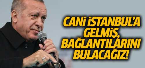 Cani İstanbul'a gelmiş, bağlantılarını bulacağız