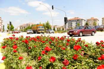 ÇORUM, HER RENK ÇİÇEKLE GÜZELLEŞECEK 