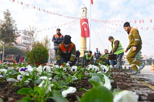 Çorum'a 50 Bin Hercai 