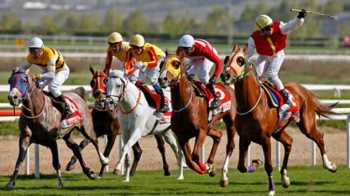 ÇORUM’A AT YARIŞLARINDA ALTIN KUPA