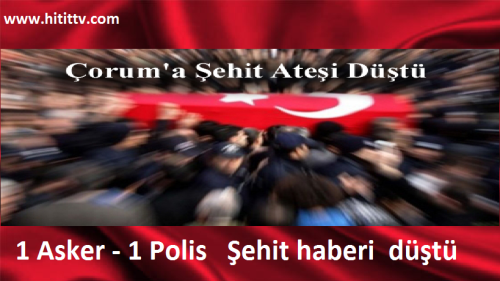 Çorum'a Nusaybin'den İKİ Şehit ateşi birden düştü 1 Asker 1 Polis
