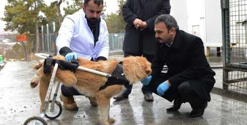 Çorum Belediyesi Türkiye'ye örnek olmaya devam ediyor