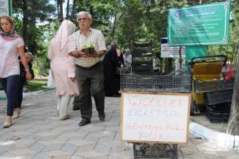 ÇORUM Belediyesin’den mezarlıklara 45.000 ücretsiz çiçek