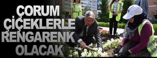 Çorum Çiçek açtı