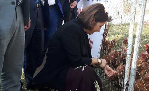 ÇORUM'DA ‘LAÇİN’DE FIRSAT VAR’ PROJESİ