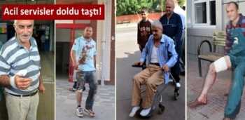 ÇORUM'DA 110 ACEMİ KASAP HASTANELİK OLDU