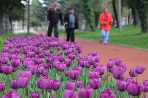  Çorum'da 447 kişiye para cezası uygulandı